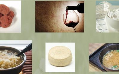 Cibi Fermentati