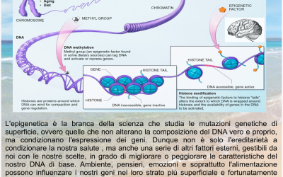 Epigenetica per tutti